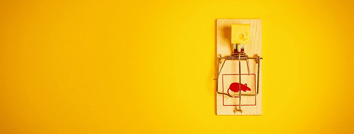 Mousetrap symbolizes data cyberthreats.